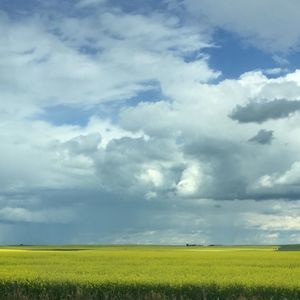 Meet your Posher, Mhina